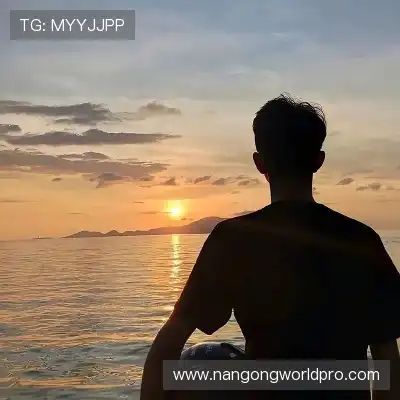 沈辉